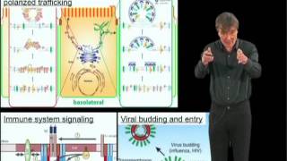 Kai Simons MPI Part 2 Lipid rafts as a membrane organizing principle [upl. by Kingston]