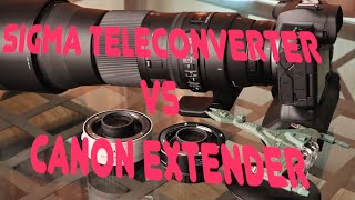 Canon extender 14x III vs Sigma Teleconverter on sigma 150600mm on EOS R Full Frame Canon Camera [upl. by Akired14]