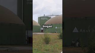 How to easily create biogas at home ♻️🔥 [upl. by Graehme]