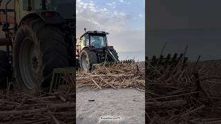 Dana Málaga Trabajos de limpieza de cañas y brozas arrastradas por la Dana en la playa Guadalmar [upl. by Yaja]