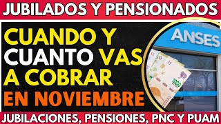 ⚡️ CALENDARIO de PAGOS COMPLETO Noviembre con BONO ➕ AUMENTO para Jubilados Pensionados PNC ANSES [upl. by Esilahs]