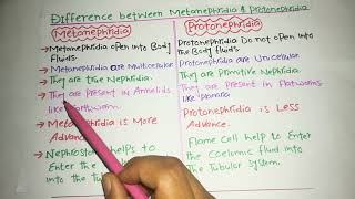 Difference between protonephridia and metanephridia [upl. by Knick207]