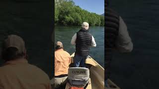 Fly Fishing Argentina  Rio Limay [upl. by Aynotahs413]