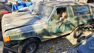 Junkyard 1987 Bronco For 800 ScrapParts or Will It Run and Drive NNKH [upl. by Abigail]