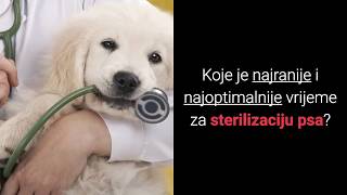 Kastracija  Sterilizacija Pasa  Kada Sterilizirati Psa Bez Opasnosti [upl. by Eluk371]