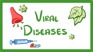 GCSE Biology  What Is a Virus  Examples of Viral Disease HIV Measles amp TMV 36 [upl. by Gish]