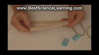 First Grade Science Projects for Homeschooler Science Students [upl. by Ellenoj]