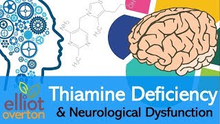 Vitamin B1 Thiamine Deficiency Neurological Dysfunction amp Disease [upl. by Liryc9]