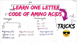 Trick to learn One letter code for Amino Acids 🤩biochemistry [upl. by Juna830]