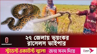 রাসেলস ভাইপার সবচেয়ে বেশি ছড়িয়েছে যেসব জেলায়  Russels Viper  Independent TV [upl. by Lymann]