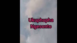 Ukuphupha ngesonto ukhulek uthandaza kubika lokhu [upl. by Vlada312]