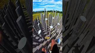 Never Climb Such Poles shortsvideo [upl. by Awahsoj]