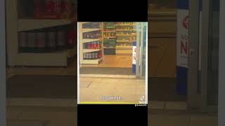 Seagull Steals Chips From Store birds [upl. by Gearalt]