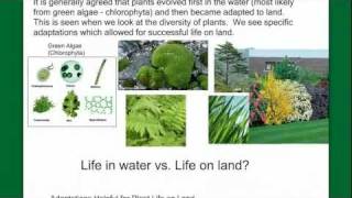 Introduction to Plant Diversity [upl. by Aekim566]