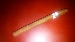 Davidoff Exquisitos Review [upl. by Judus]