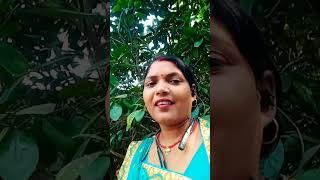 Tuchij bari he mast mast tu chij bollywood song hindisong [upl. by Nemaj]