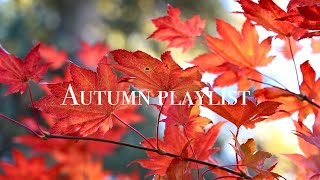 A playlist for dark autumn evenings 🍁✨ [upl. by Avraham308]