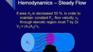 Hemodynamics Bonus Lecture preDoppler [upl. by Stanislas]