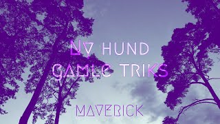 Maverick  Ny hund gamle triks Offisiell musikkvideo [upl. by Nathaniel672]