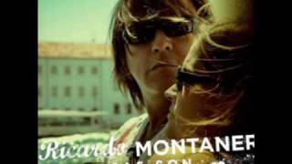 Ricardo Montaner  Los Amores [upl. by Eirok]