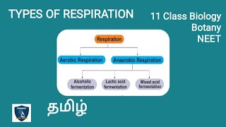 Types of Respiration in Tamil  Respiration  Botany I Class 11  NEET  TNSCERT [upl. by Dloreh]