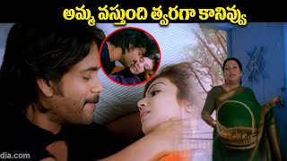 త్వరగా కానివ్వు  Super Movie Interesting Scene  Nagarjuna amp Ayesha Takia Romantic Sence  IDream [upl. by Nimsaj]