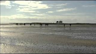 Wadden Sea in 60 secs  UNESCO World Heritage [upl. by Henden817]