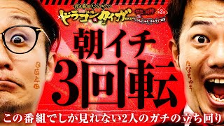 朝イチ3回転⁉ 日直島田ampたなちゅうドラゴン＆タイガー 最強の相棒 〜にゃんにゃんパラダイス編〜【第2話12】 simadaobasan pekarutv [upl. by Blaine41]