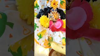 ytviral happydiwali laxmipuja dipabali ytshorts dailyvlog kanha dipawali dailyvlogger yt [upl. by Trbor]