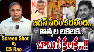 జగన్‌ పీఠం కదిలింది CM Chandrababu Promise  Swaroopananda Swamy  YS Jagan  Wild Wolf Telugu [upl. by Brandt]