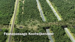 ProRail opent Faunapassage Kootwijkerzand op 23 maart [upl. by Telracs]