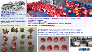 MCF500 Series 2023 version High capacity automatic strawberry capper [upl. by Vilberg]