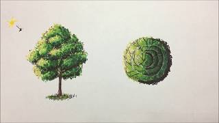 Como dibujar árboles con marcadores arquitectura  How to draw trees with markers architecture [upl. by Lerner331]