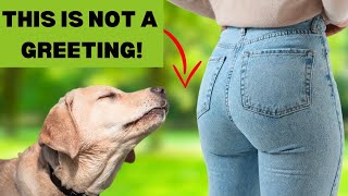 DOGS SNIFFING BUTTS The TRUE and Strange Reason Behind Dogs Behavior [upl. by Nwahsit13]