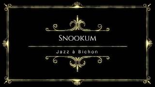 Jazz à Bichon  Snookum [upl. by Kreager]