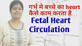 Fetal Heart Circulation lecture in hindi  What is ductus venosusforamen ovale amp ductus arteriosus [upl. by Enninaej]