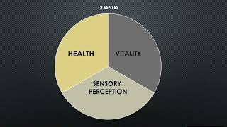 Rudolf Steiners twelve senses form the basis of [upl. by Eihs23]