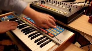 Moog Source funk bass live tweaking [upl. by Anigar]