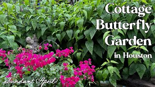 April 24 2023 Cottage Butterfly Garden Tour in Houston Texas zone 9a JosTXGarden [upl. by Yhtuv]