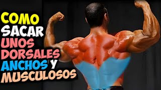 COMO Sacar 👉 UNOS DORSALES Anchos Y Musculosos  Ganar MASA MUSCULAR En La ESPALDA [upl. by Hanford]