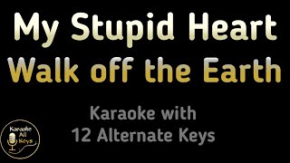 Walk off the Earth  My Stupid Heart Karaoke Instrumental Lower Higher Male Female Original Key [upl. by Mharg]