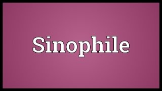 Sinophile Meaning [upl. by Adnomal87]