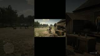 Red Dead 2  How dumb are you funnymoments rdrgameplay pc shorts gaming gameplay headshot [upl. by Ahsaenat33]