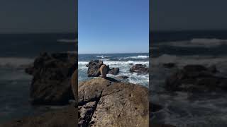 Rocky Coast of the Pacific  Sonoma County CA [upl. by Snave]