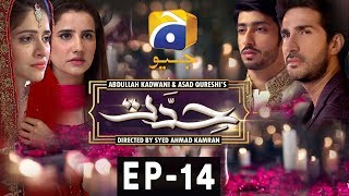 Hiddat  Episode 14  Har Pal Geo [upl. by Alegnatal513]