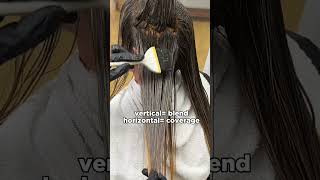 Bigger sections  better blend for this color melt haircolor hairdye [upl. by Ahsin]