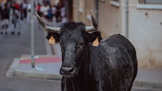 Toros tercera tarde fiestas barrio Villarreal  Toro de calle [upl. by Ogaitnas]