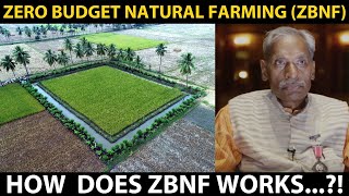 ZERO BUDGET NATURAL FARMING ZBNF  Subhash Palekar [upl. by Otrebron]