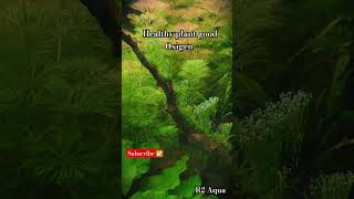 Healthy aquarium plantshortsfeedfishaquariumviralvideoaquariumtrandingfishtanknatureaquarium [upl. by Sprung]