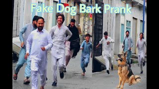 Fake Dog Bark prank  Madyan Vines kpk [upl. by Whittaker]